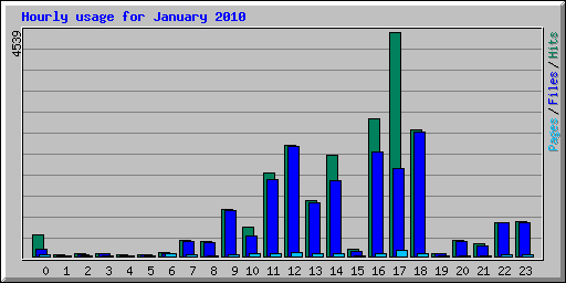 Hourly usage for January 2010